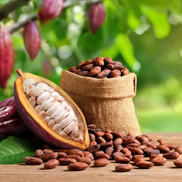 Distinctive terroirs and varieties
