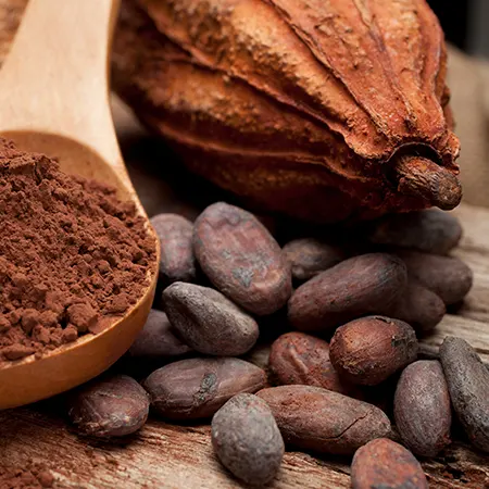 Unveiling the journey from cocoa bean to bar
